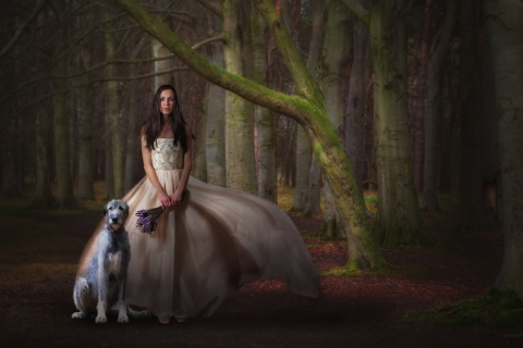 Fondo de pantalla Girl, Lavender Bouquet And Dog 480x320
