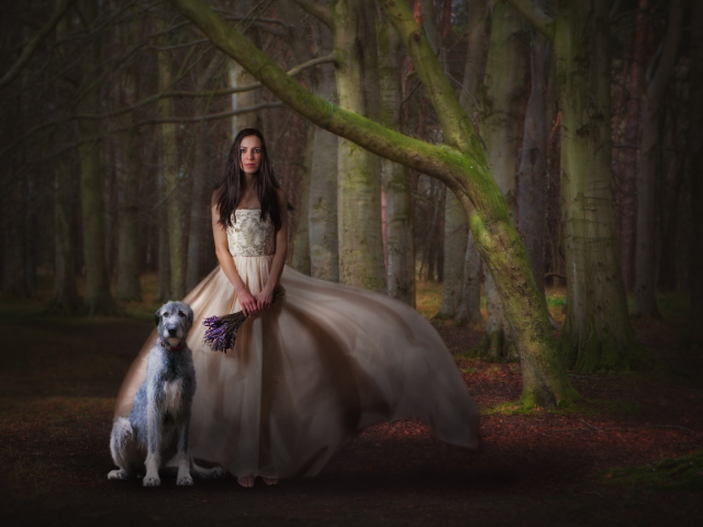 Das Girl, Lavender Bouquet And Dog Wallpaper 640x480