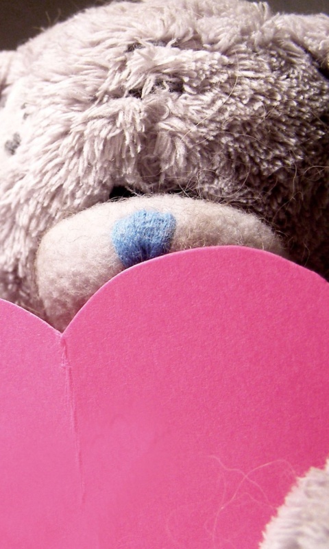 Обои Plush Teddy Bear 480x800