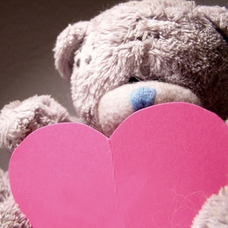 Plush Teddy Bear Background for 1024x1024