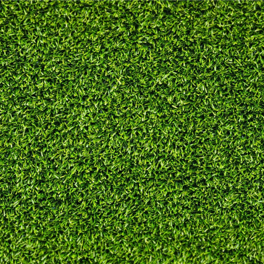 Fondo de pantalla Green Grass 1024x1024