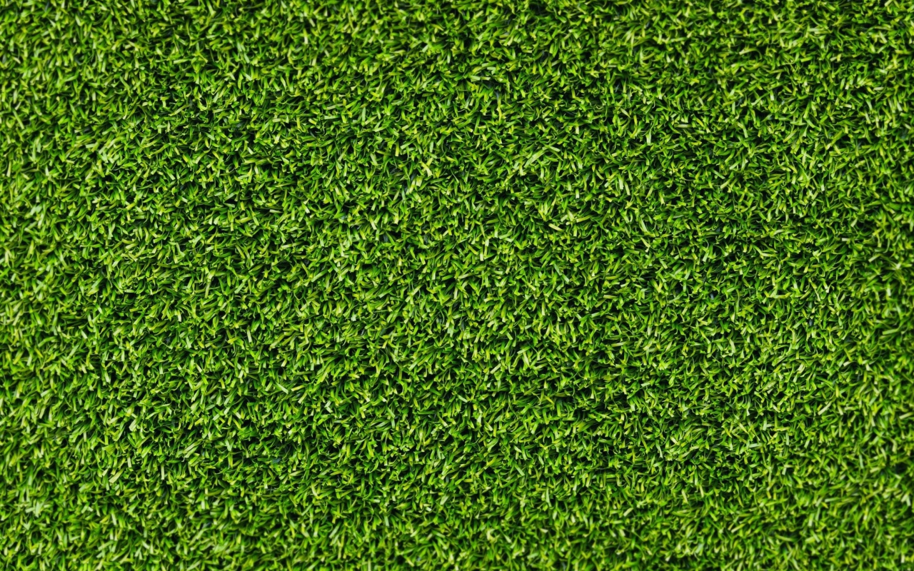 Green Grass wallpaper 1280x800