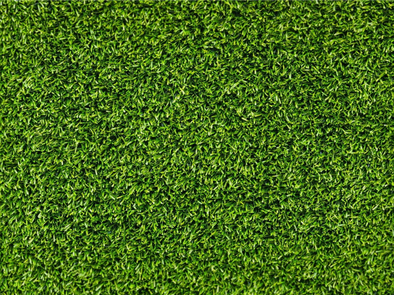 Sfondi Green Grass 1280x960