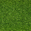 Sfondi Green Grass 128x128