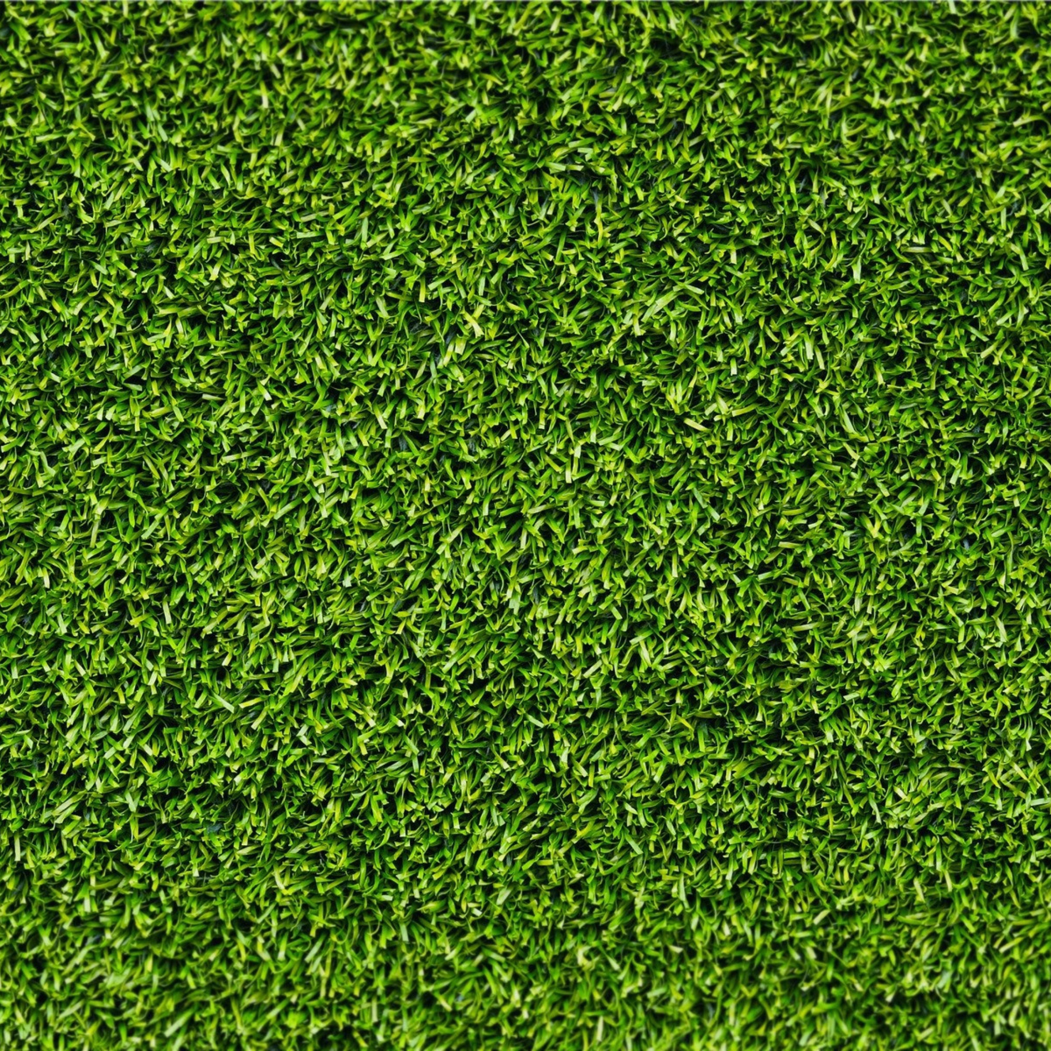 Screenshot №1 pro téma Green Grass 2048x2048