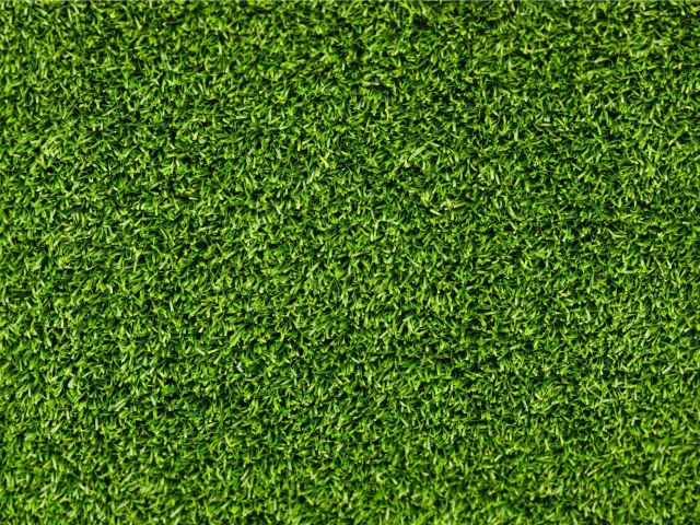 Green Grass screenshot #1 640x480
