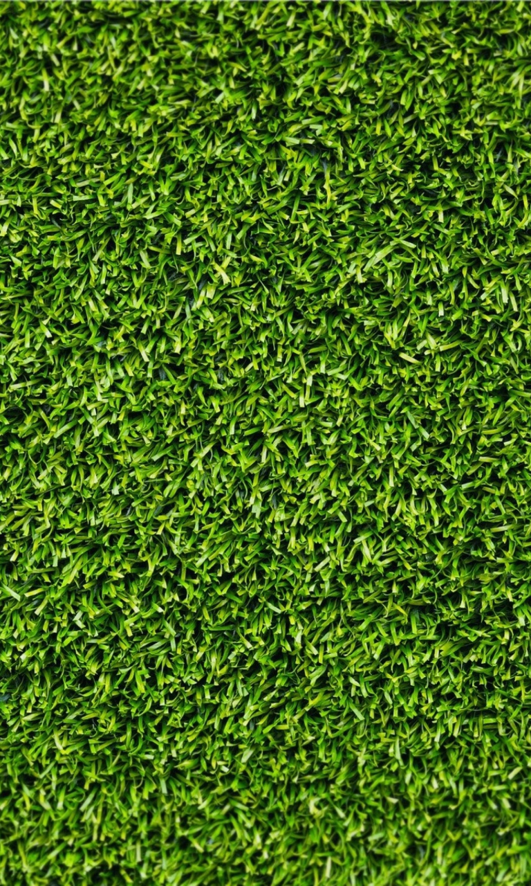 Sfondi Green Grass 768x1280