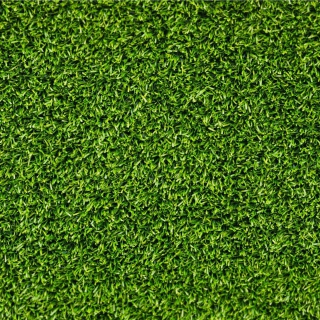 Green Grass Wallpaper for iPad 3
