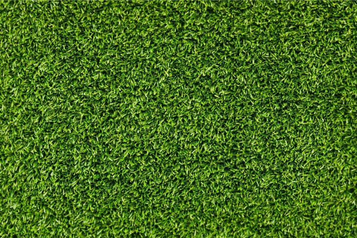 Screenshot №1 pro téma Green Grass