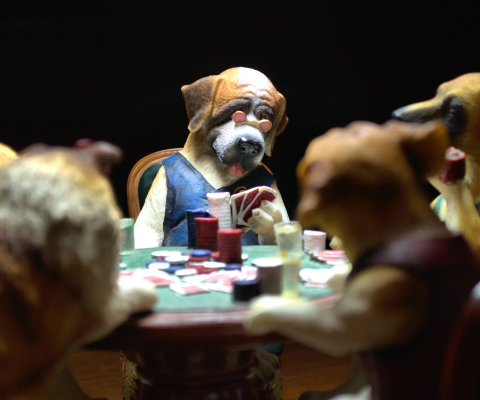 Dogs Playing Poker wallpaper 480x400