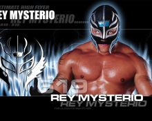 Screenshot №1 pro téma Wwe 220x176