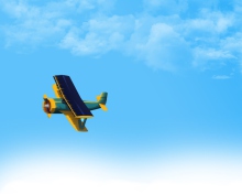 Das Fly In Blue Sky Wallpaper 220x176