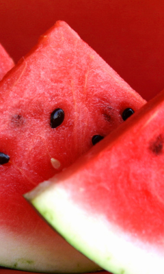 Fondo de pantalla Slices Of Watermelon 240x400