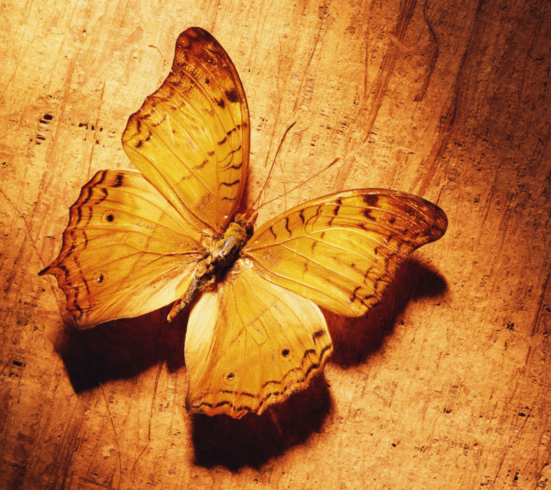 Das Glitter Gold Butterfly Wallpaper 1080x960