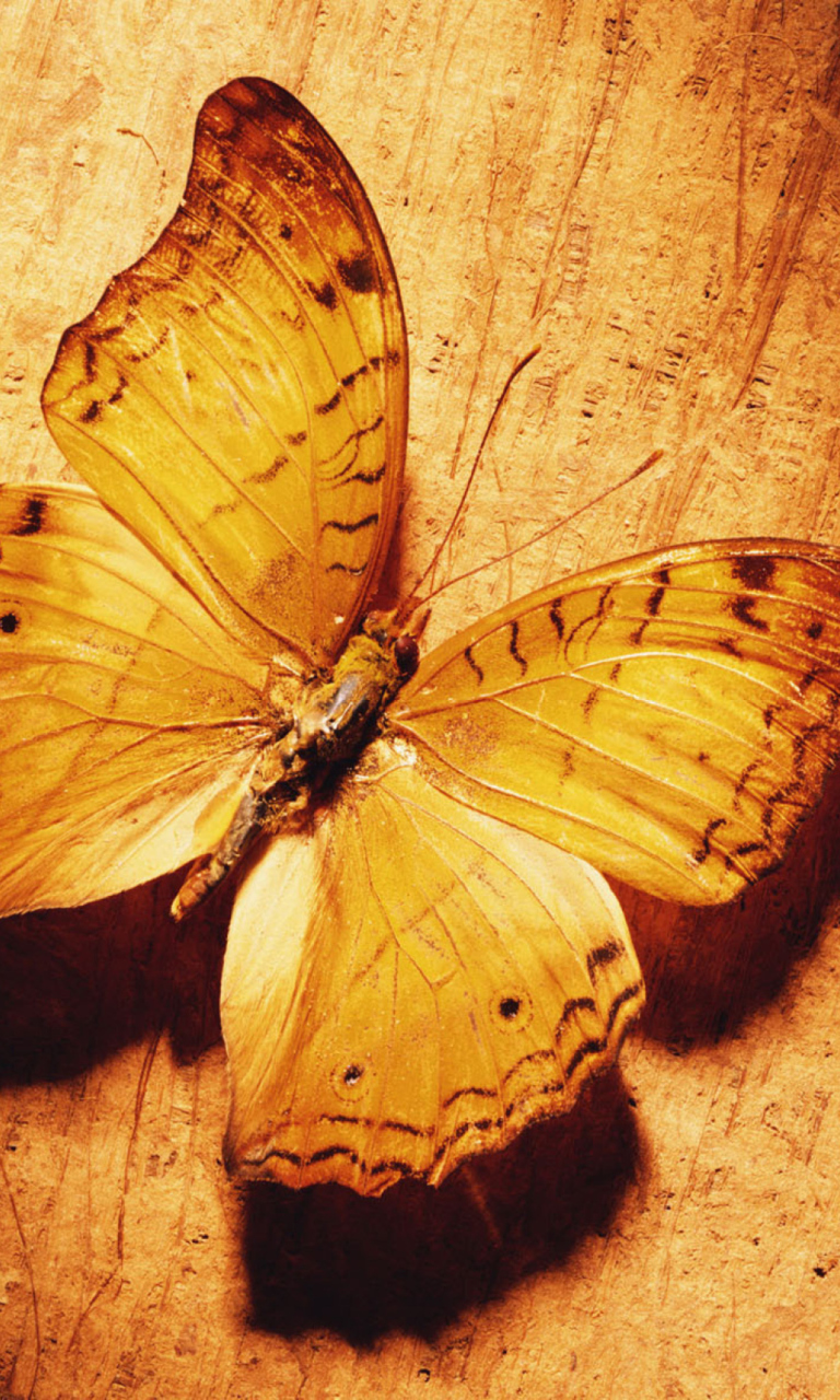 Обои Glitter Gold Butterfly 768x1280