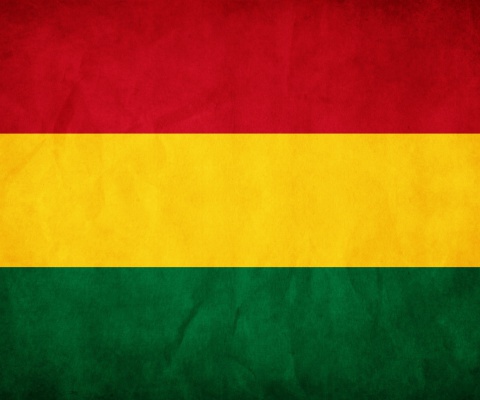 Fondo de pantalla Bolivia Flag 480x400