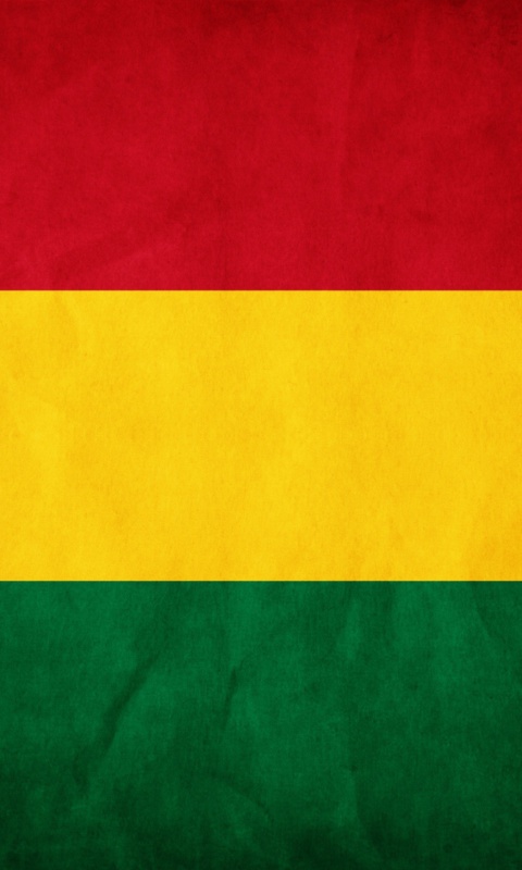 Bolivia Flag wallpaper 480x800
