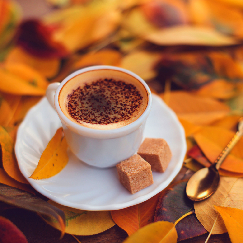 Autumn Cappuccino wallpaper 1024x1024