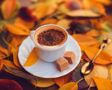 Autumn Cappuccino wallpaper 220x176