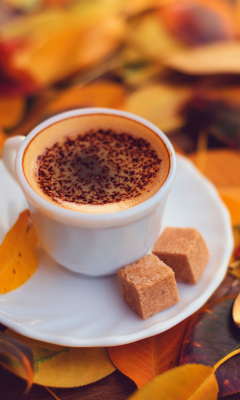 Autumn Cappuccino screenshot #1 240x400