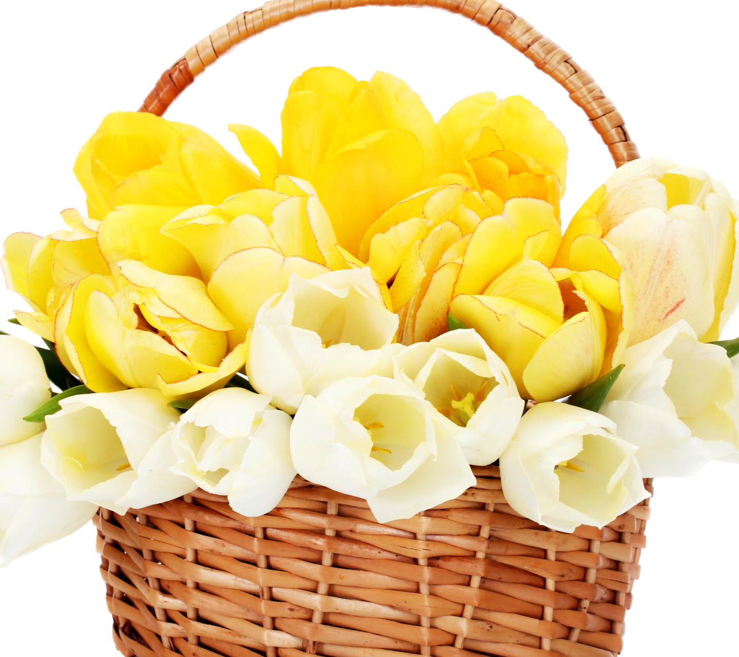 Das Spring Tulips in Basket Wallpaper 1440x1280
