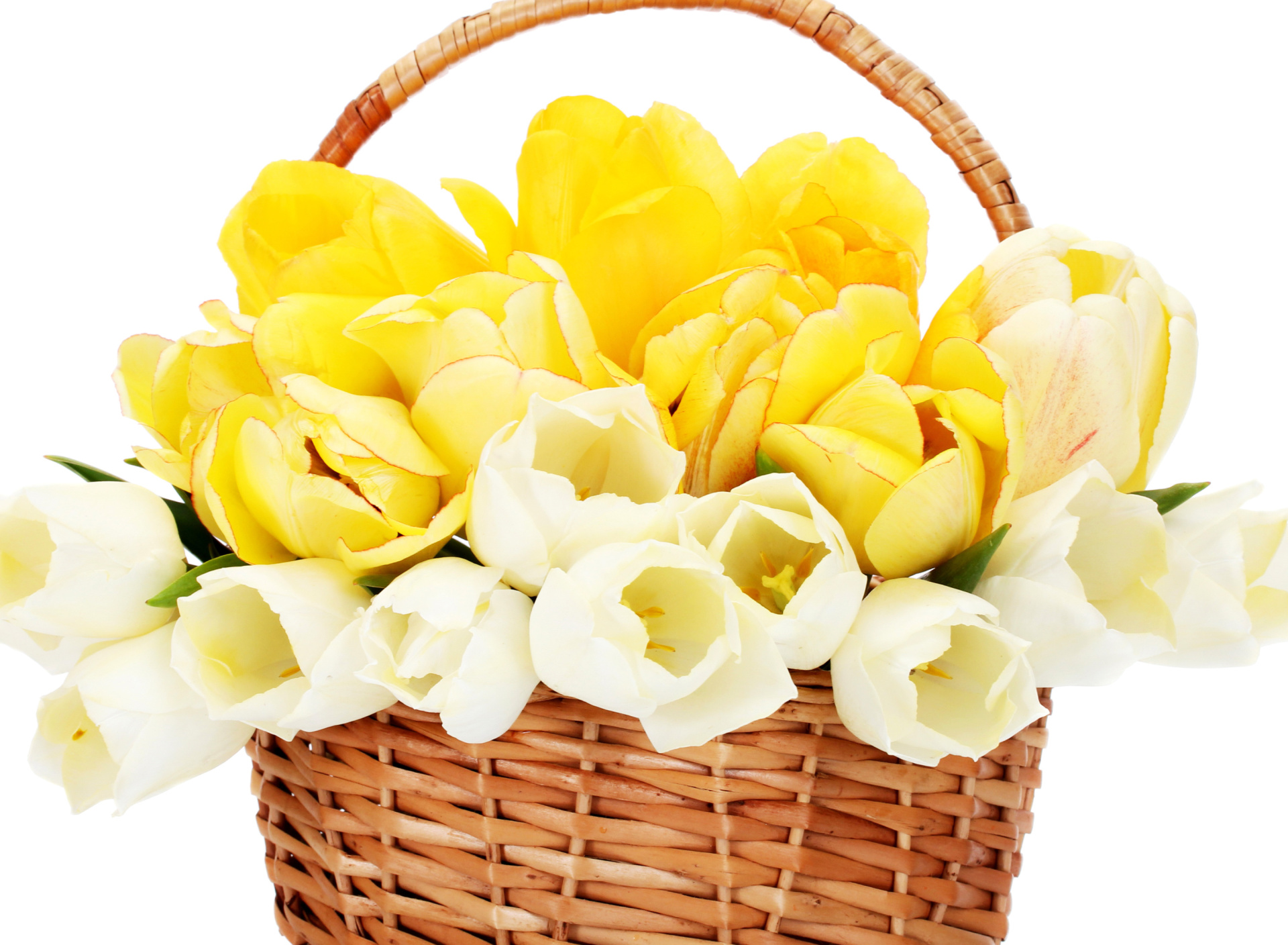 Fondo de pantalla Spring Tulips in Basket 1920x1408