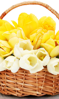 Spring Tulips in Basket screenshot #1 240x400