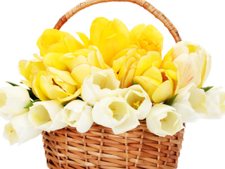 Обои Spring Tulips in Basket 320x240