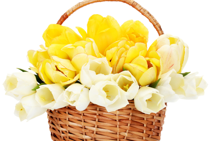 Spring Tulips in Basket wallpaper