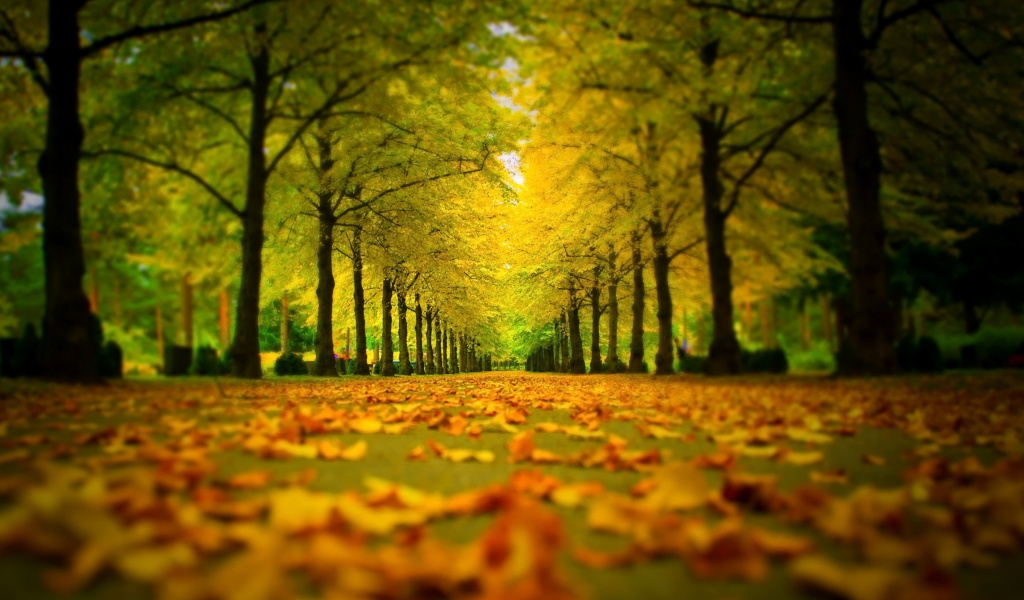 Autumn Park screenshot #1 1024x600