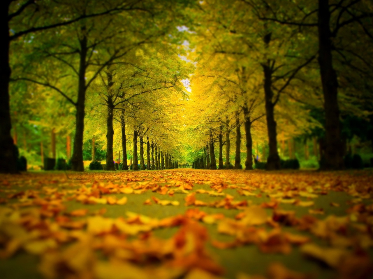 Autumn Park screenshot #1 1280x960