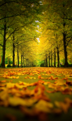 Autumn Park screenshot #1 240x400