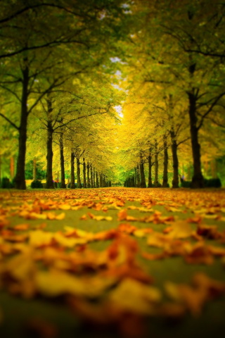 Autumn Park screenshot #1 320x480