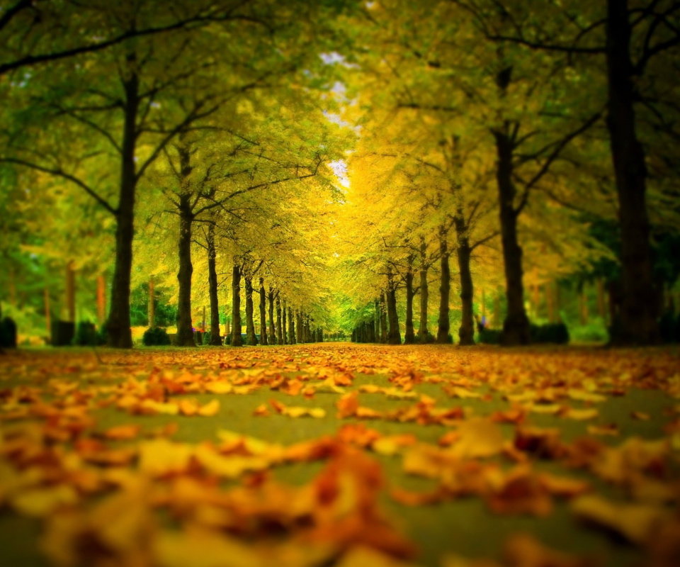 Autumn Park screenshot #1 960x800