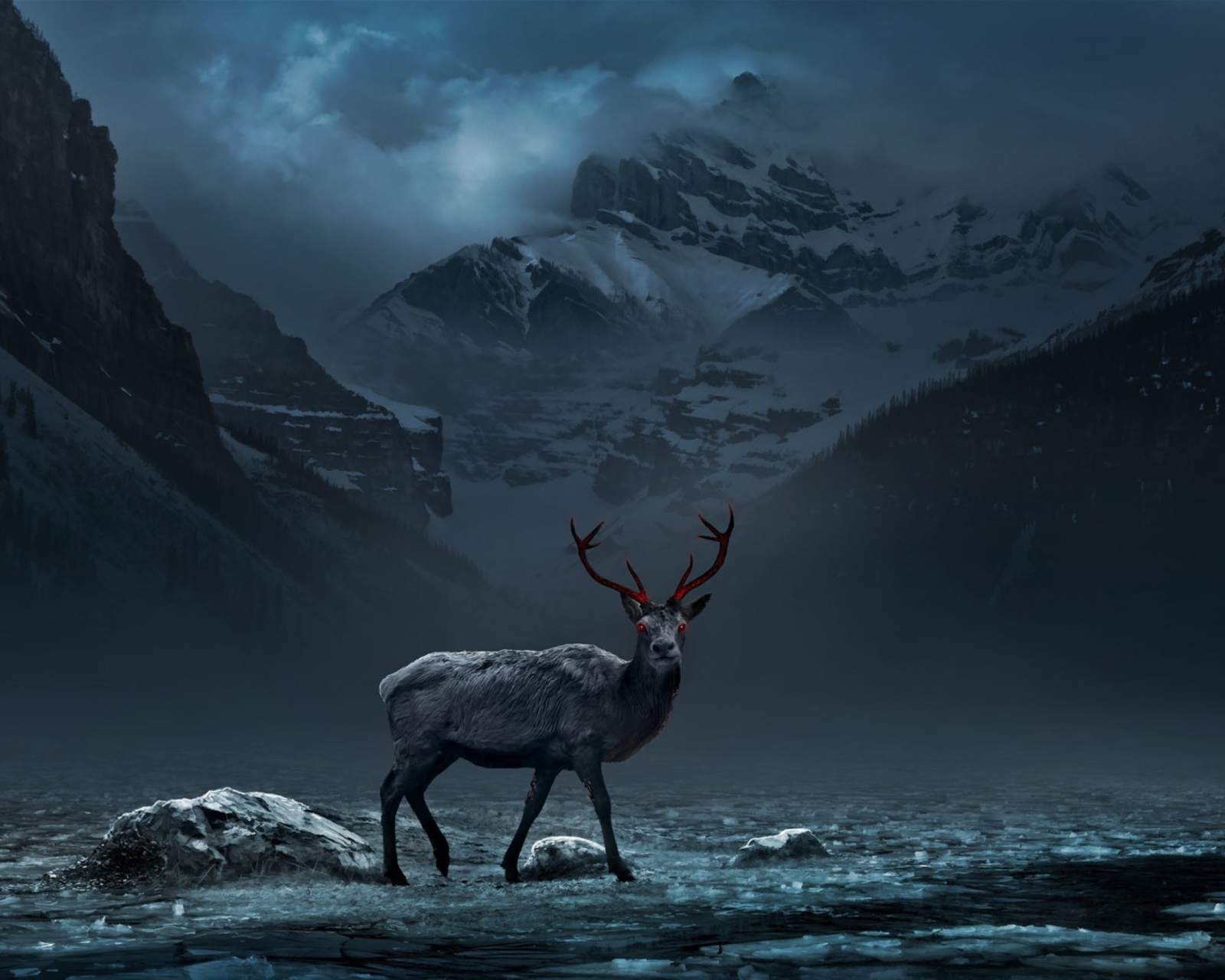 Reindeer wallpaper 1600x1280
