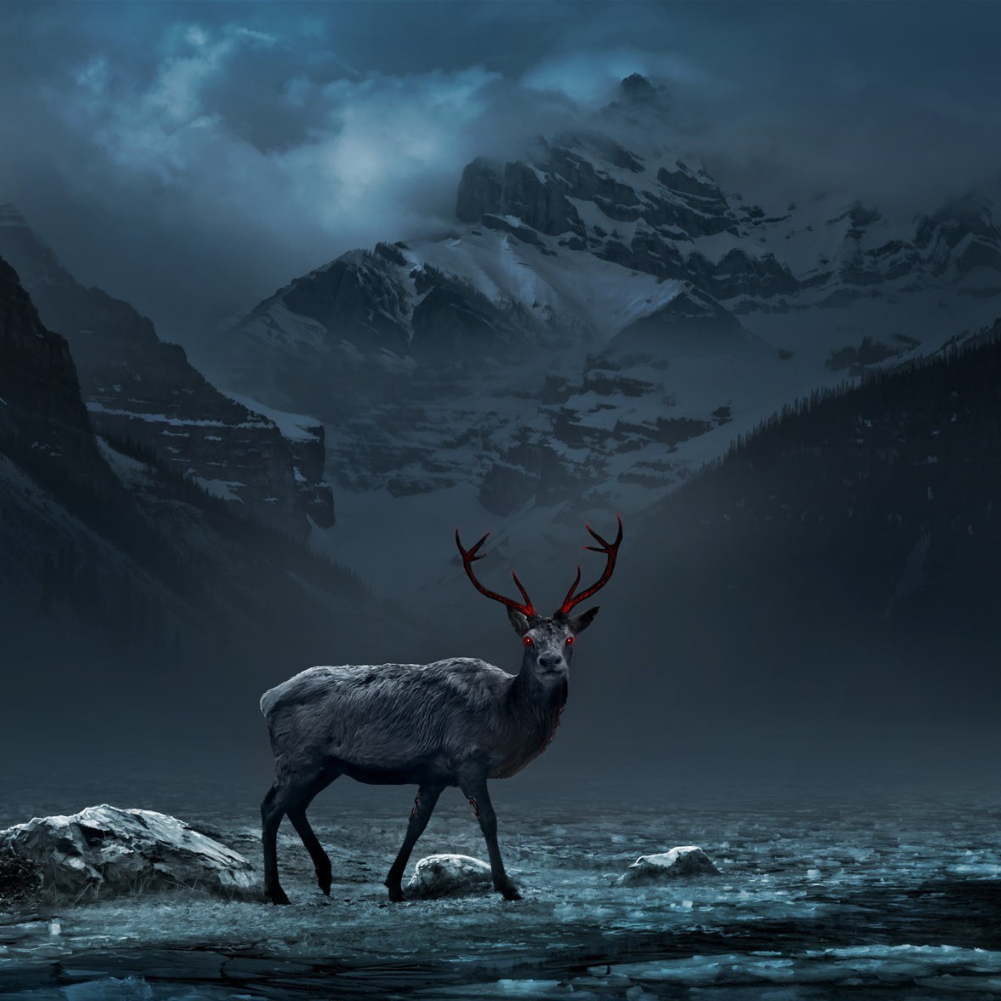 Reindeer wallpaper 2048x2048