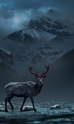 Das Reindeer Wallpaper 240x400