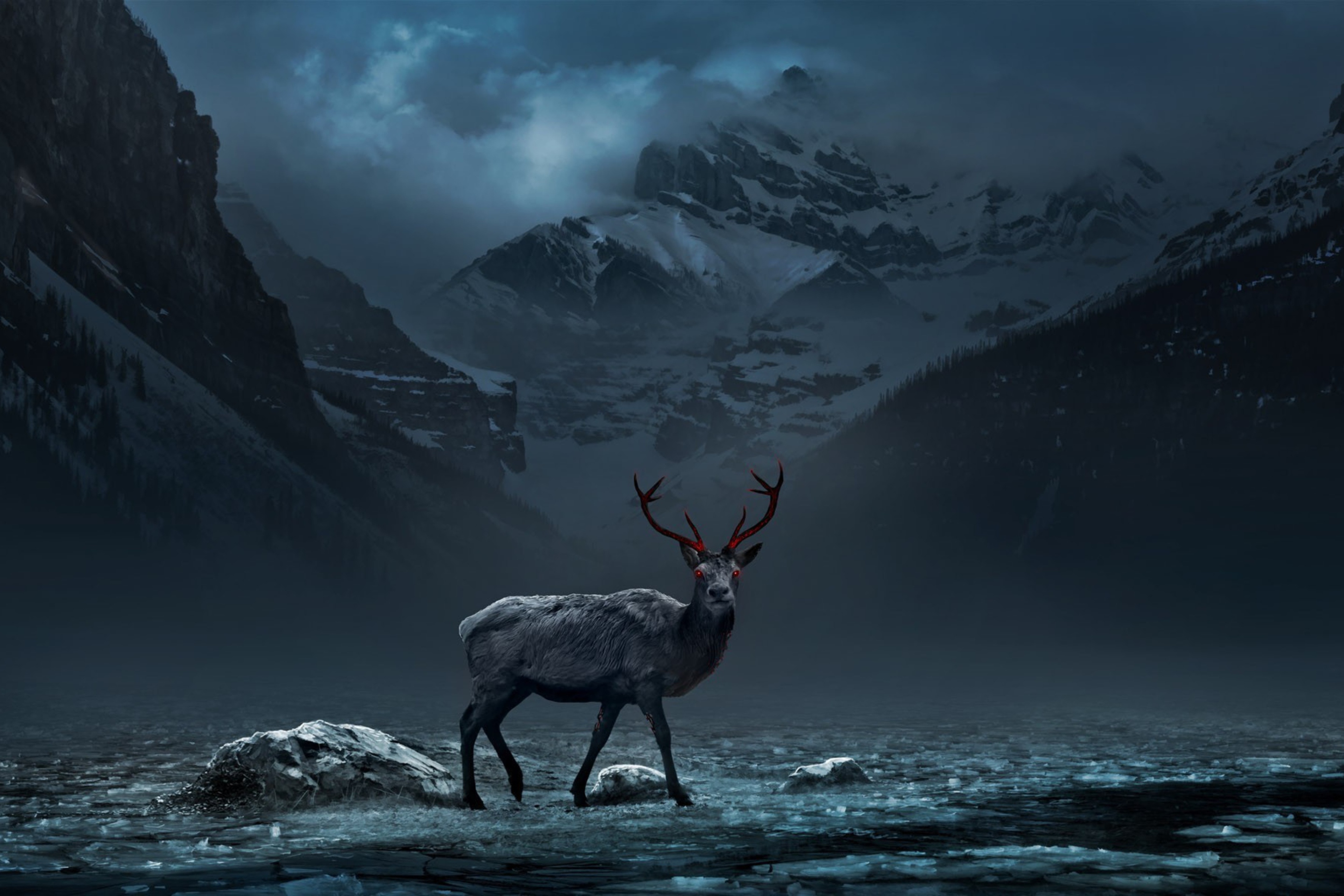 Das Reindeer Wallpaper 2880x1920