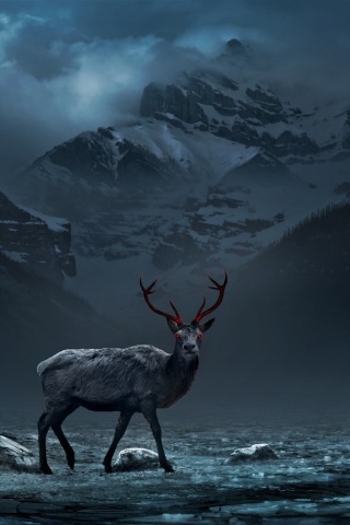 Das Reindeer Wallpaper 320x480