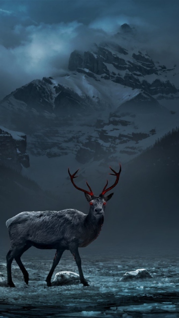 Reindeer wallpaper 360x640