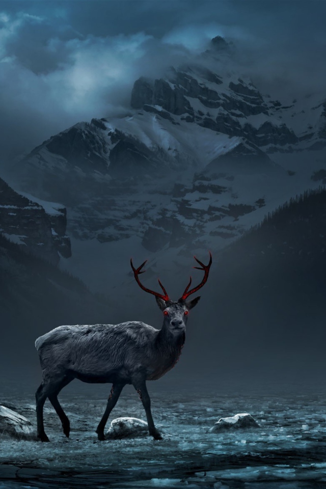 Das Reindeer Wallpaper 640x960