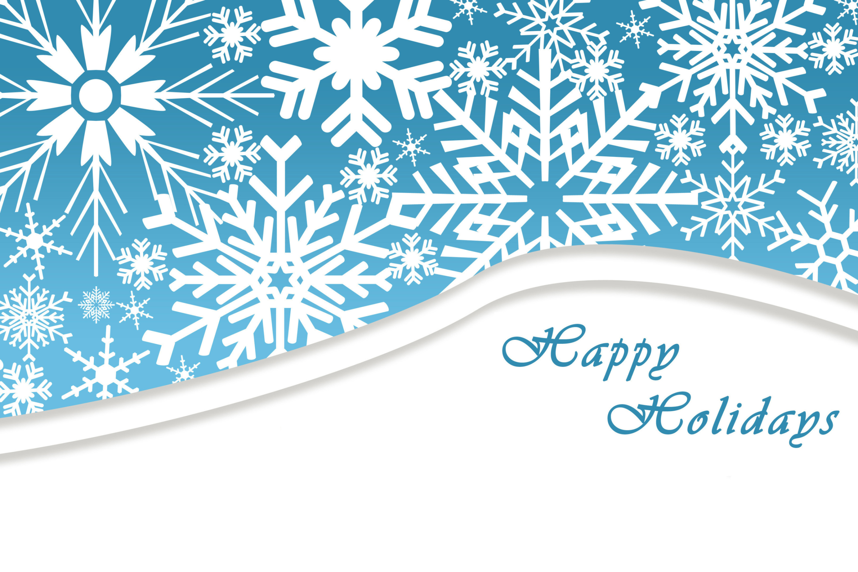 Sfondi Snowflakes for Winter Holidays 2880x1920