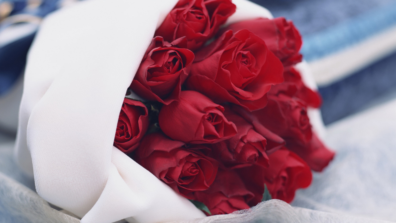 Обои Bouquet Passion Roses 1366x768