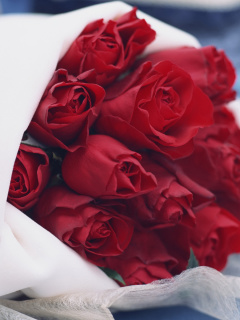 Fondo de pantalla Bouquet Passion Roses 240x320