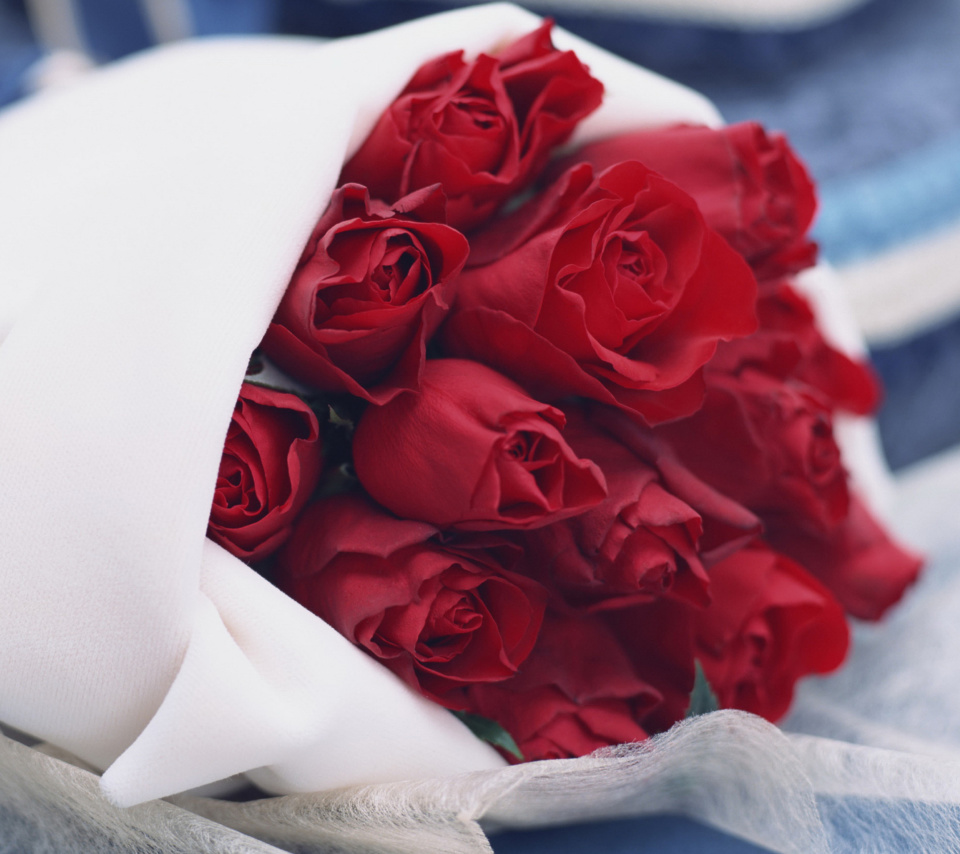 Обои Bouquet Passion Roses 960x854