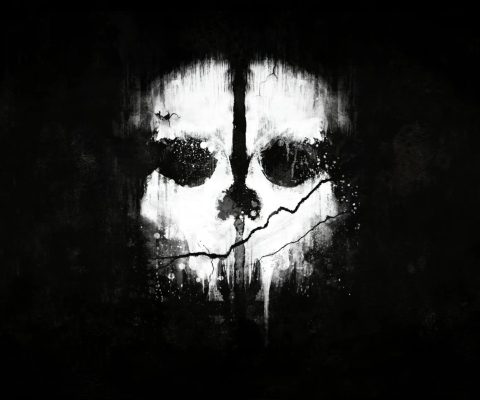 Call Of Duty Ghosts Mask wallpaper 480x400