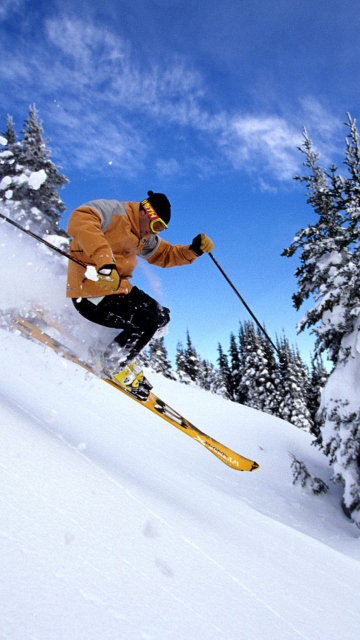 Fondo de pantalla Skiing 360x640