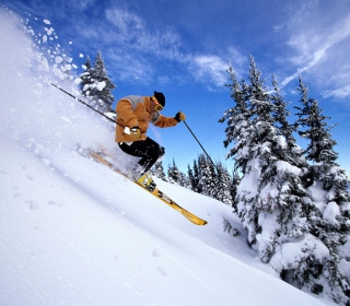 Skiing sfondi gratuiti per iPad mini