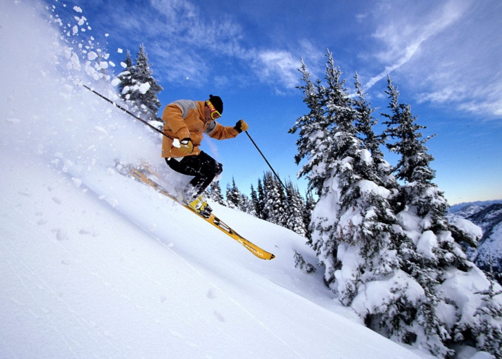 Обои Skiing