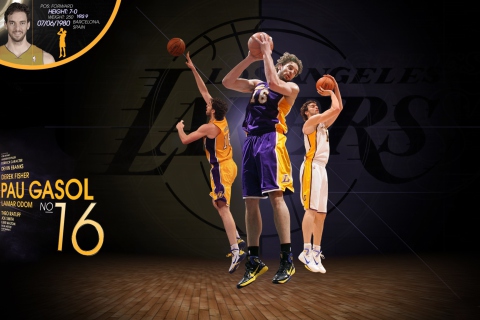 Das Pau Gasol Basketball Palyer Wallpaper 480x320